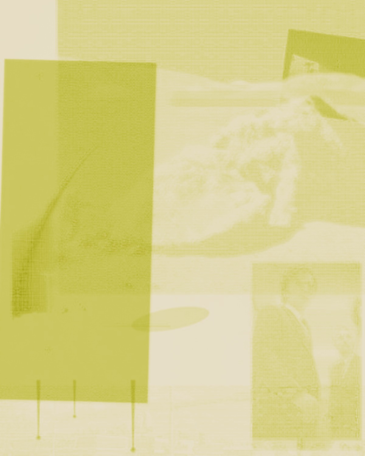 Plate 04 — chartreuse spot